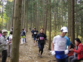 �w�n�R�g���C�����[�X