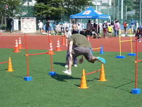 �R�[�f�B�l�[�V�����`�������W