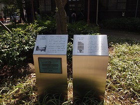 �w�K�@��w���U��